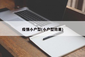 疫情小户型(小户型效果)